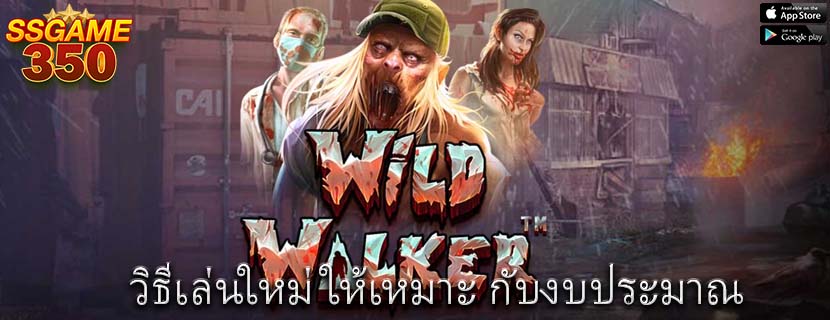 วิธีเล่นใหม่ให้เหมาะ กับงบประมาณ
