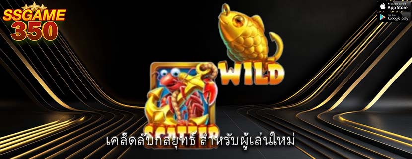 เคล็ดลับกลยุทธ์ สำหรับผู้เล่นใหม่